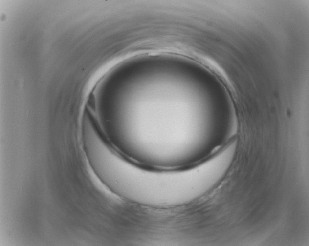 X0000065241528200602242012