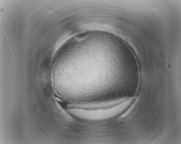 X0000065241529200602242012