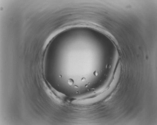 X0000065241530200602242012