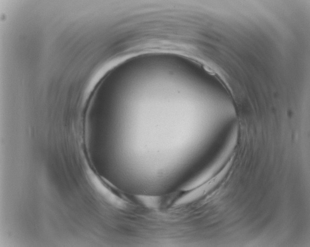 X0000065241531200602242012