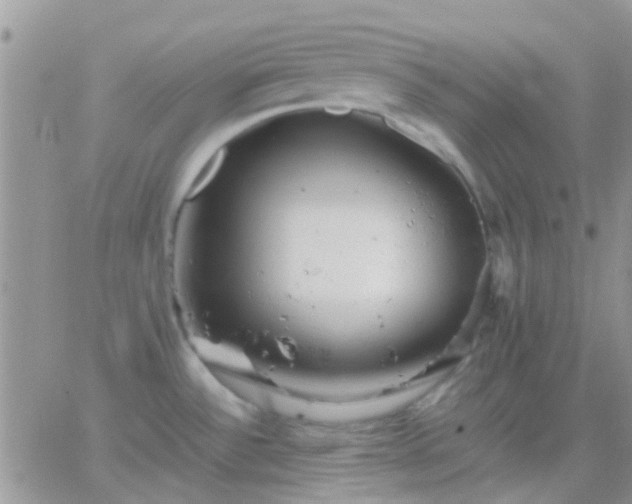 X0000065241532200602242012