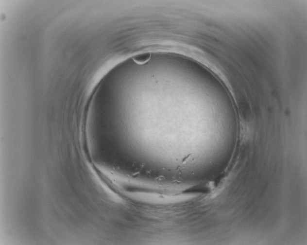 X0000065241533200602242012