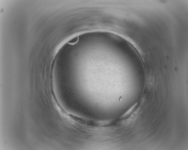 X0000065241534200602242012