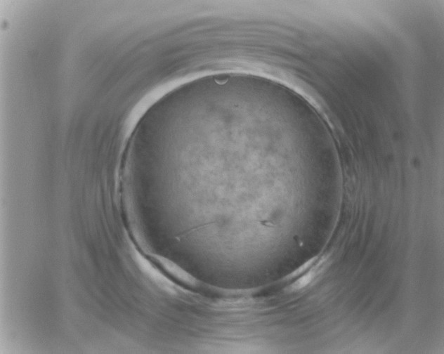 X0000065241535200602242012