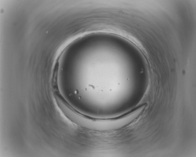 X0000065241536200602242012