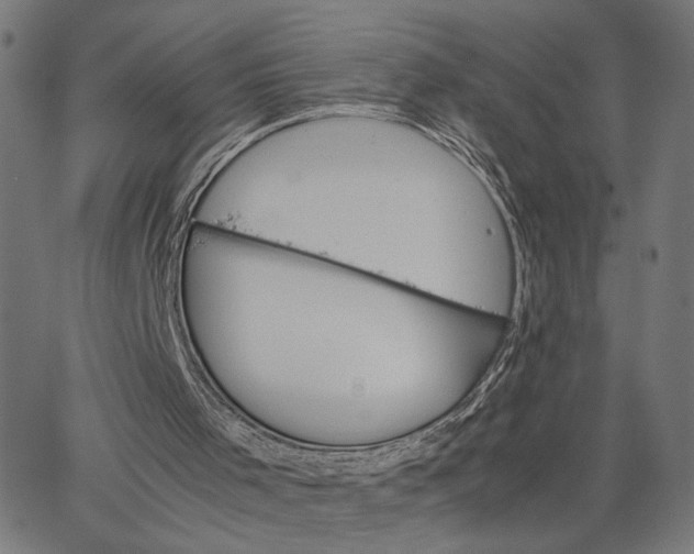 X0000065240001200603031750
