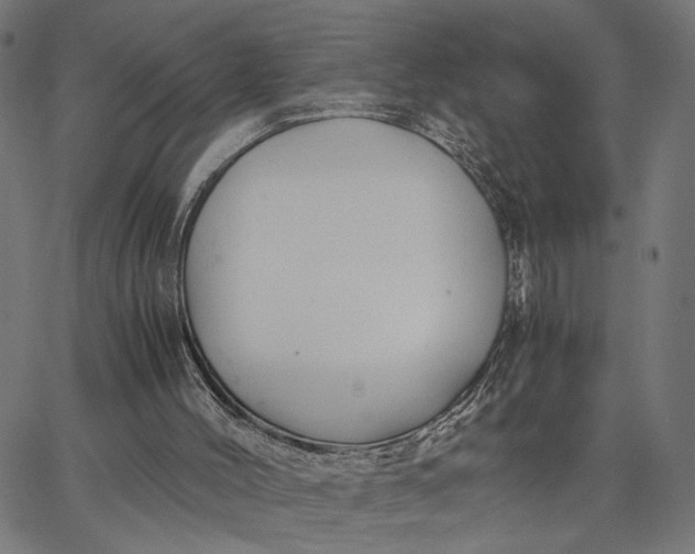 X0000065240004200603031750
