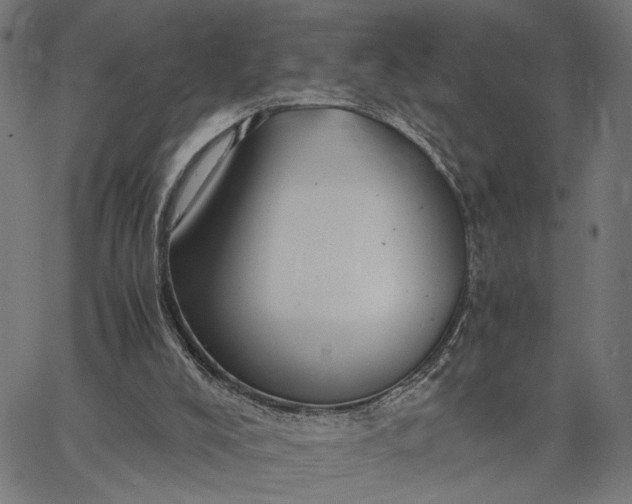 X0000065240008200603031750