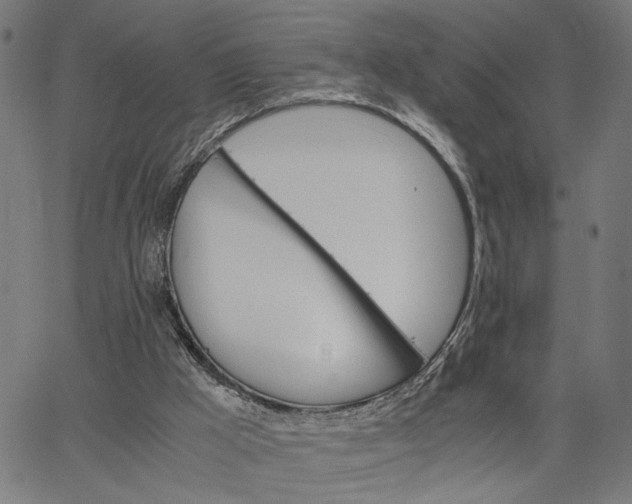 X0000065240009200603031750