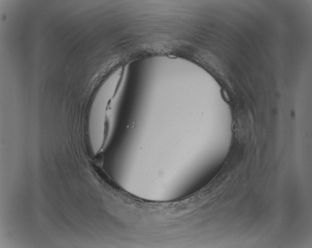 X0000065240023200603031750