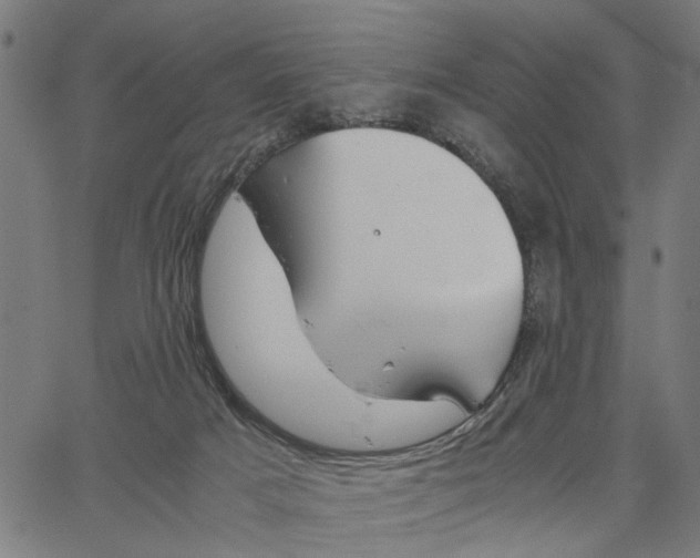 X0000065240025200603031750