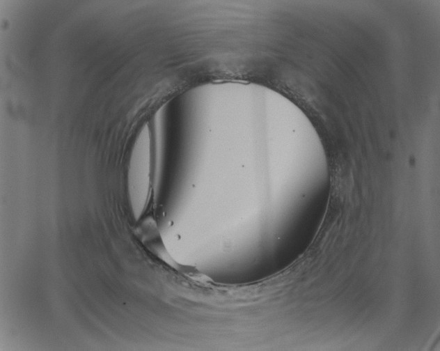 X0000065240027200603031750