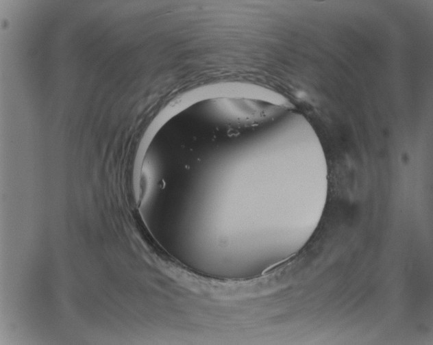 X0000065240039200603031749