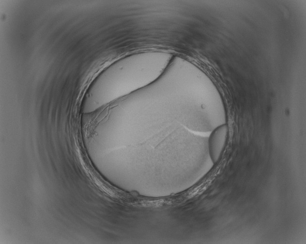 X0000065240049200603031748