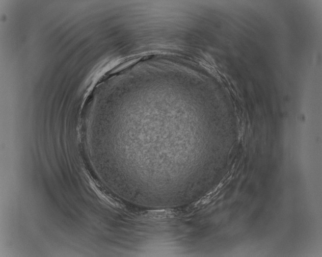 X0000065240050200603031748