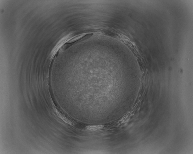 X0000065240051200603031749