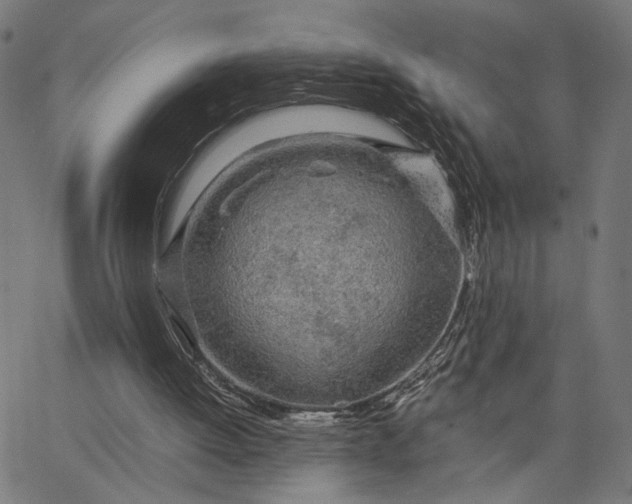 X0000065240052200603031749
