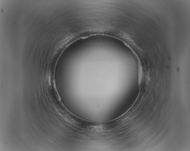 X0000065240068200603031749