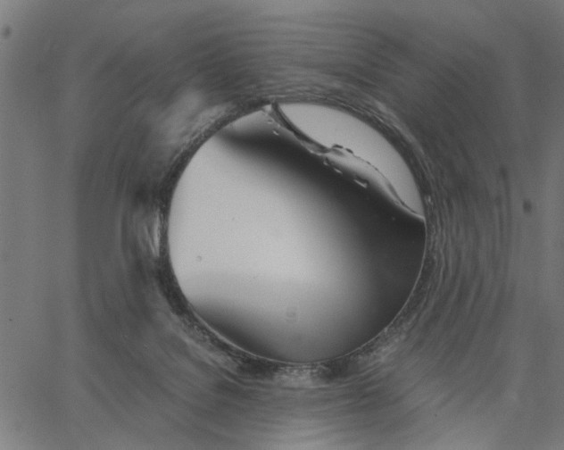 X0000065240076200603031749