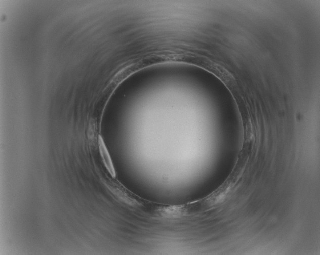 X0000065240092200603031749
