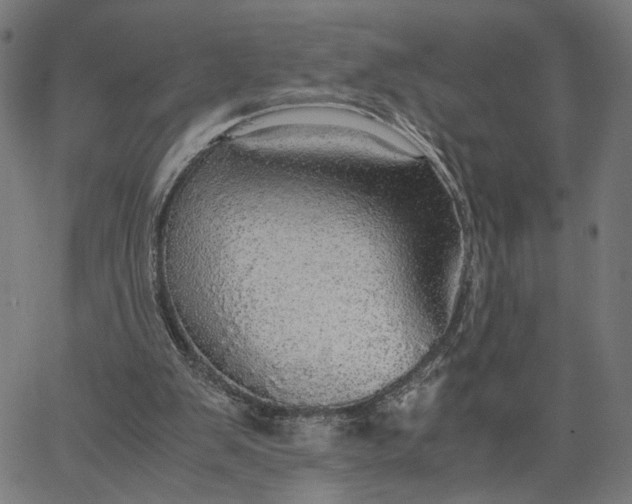 X0000065240103200603031748