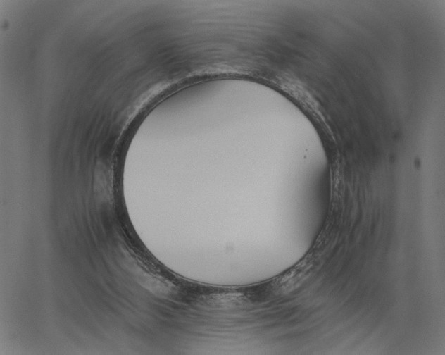 X0000065240108200603031748