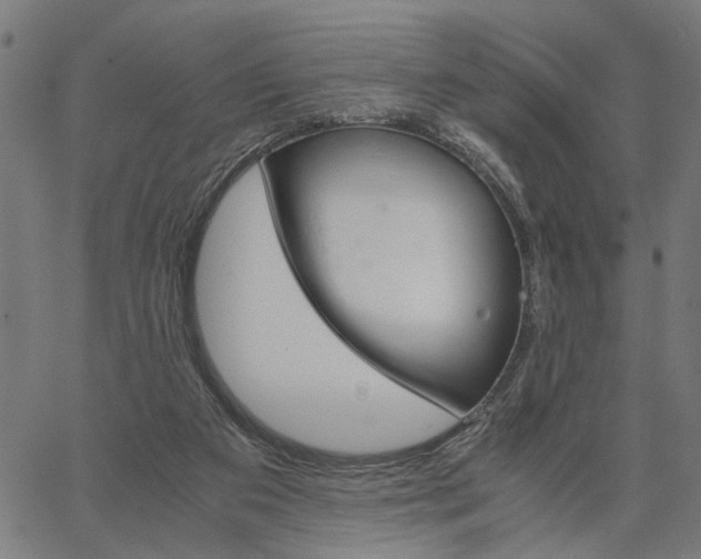 X0000065240113200603031748