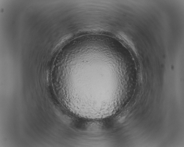 X0000065240115200603031748
