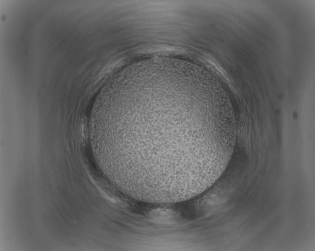 X0000065240119200603031748