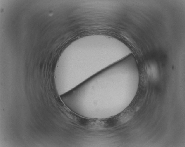 X0000065240125200603031748