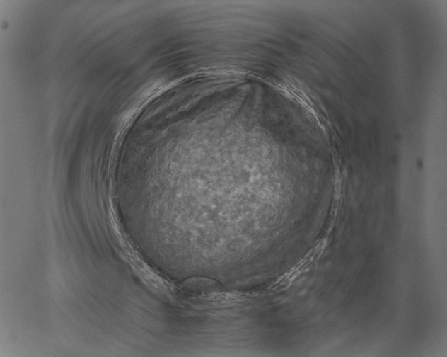 X0000065240145200603031747