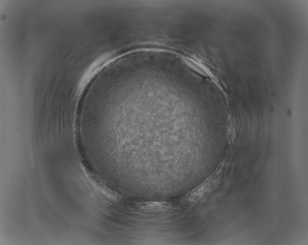 X0000065240151200603031747