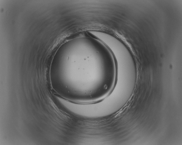X0000065240154200603031747