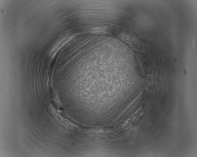 X0000065240194200603031747