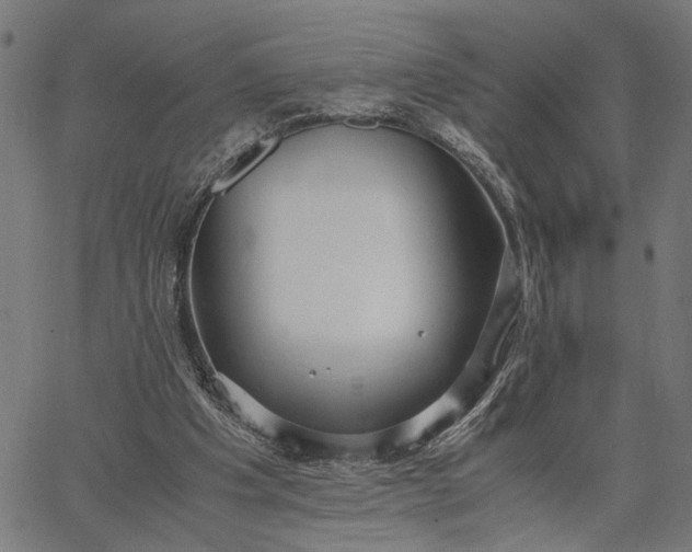 X0000065240201200603031747