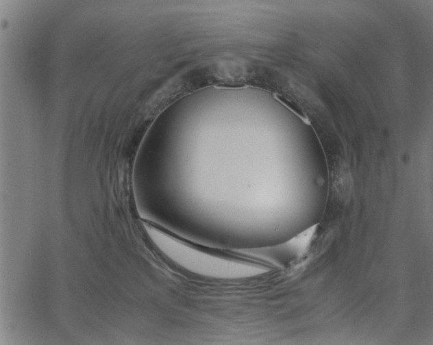 X0000065240233200603031746