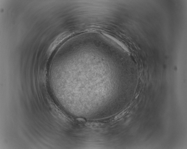 X0000065240242200603031745
