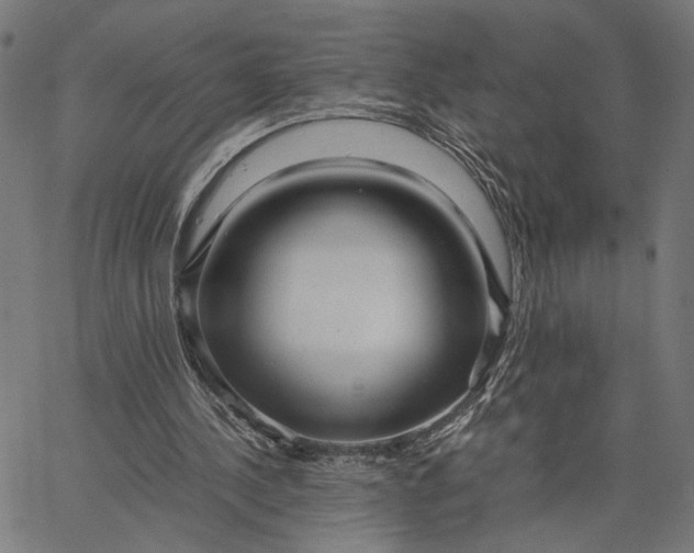 X0000065240244200603031745