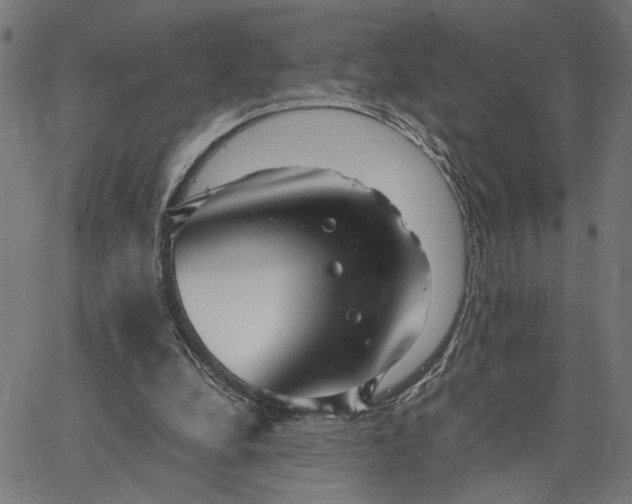 X0000065240248200603031745