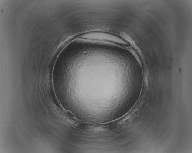 X0000065240249200603031745