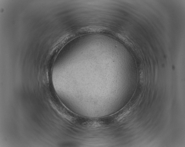 X0000065240254200603031746
