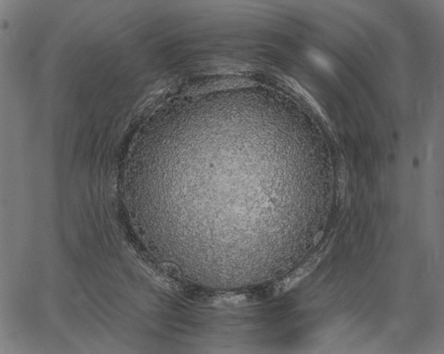 X0000065240257200603031746