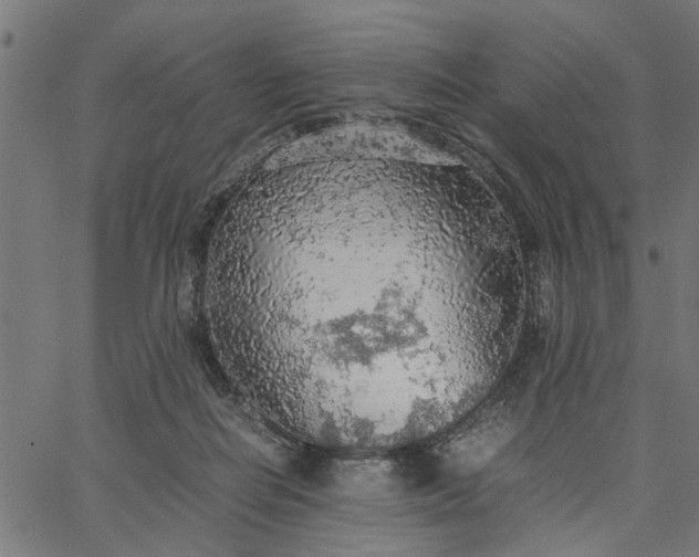 X0000065240266200603031746