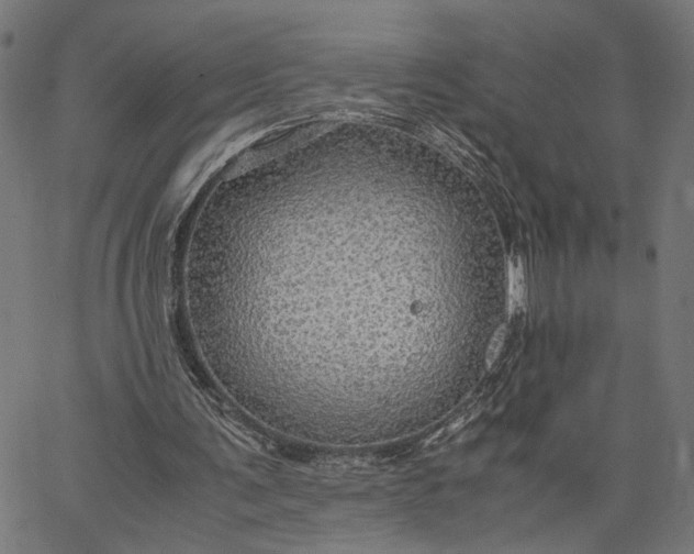 X0000065240291200603031745