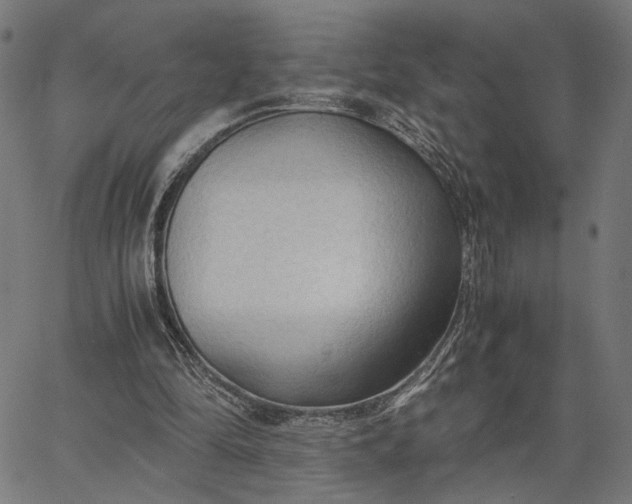 X0000065240294200603031745