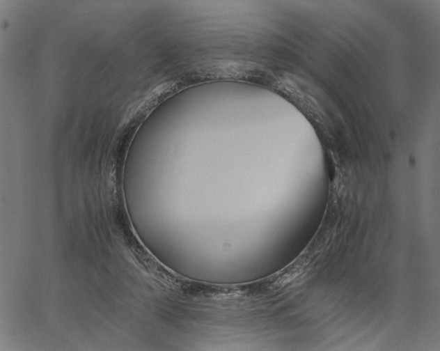 X0000065240306200603031745