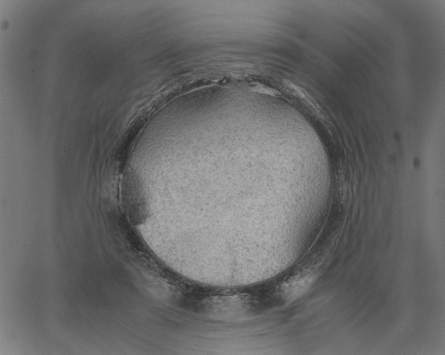 X0000065240307200603031745