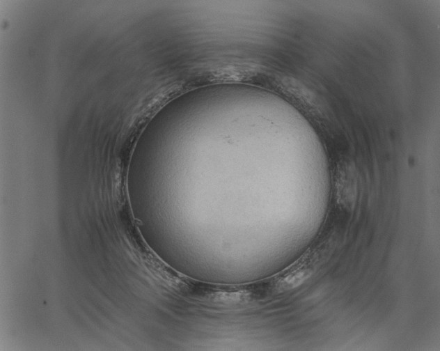 X0000065240314200603031745