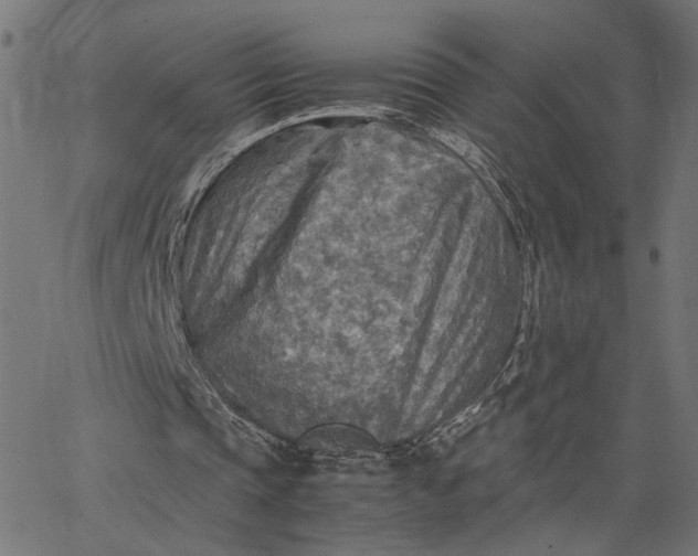 X0000065240337200603031744