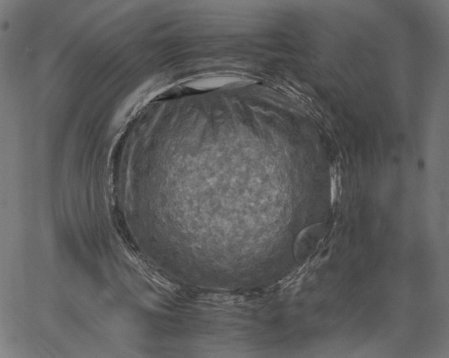 X0000065240339200603031744